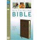 NIV Thinline Bible standard print